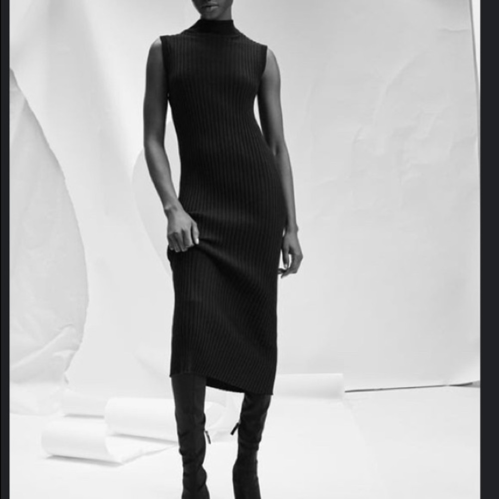 Zara Knit Midi Bodycon Dress